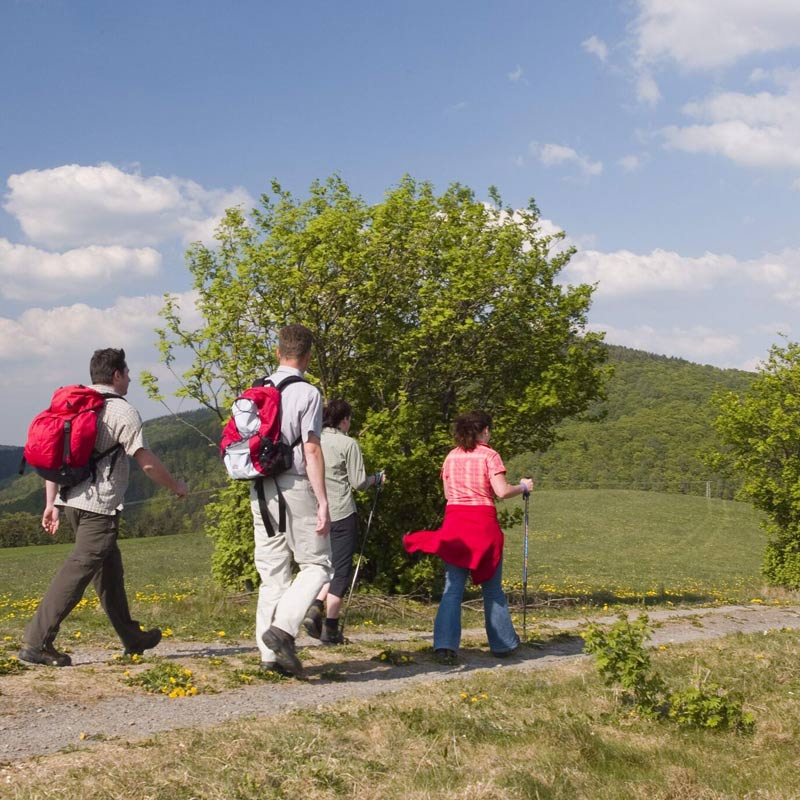 Wandern durch die Hochheide rund um Willingen